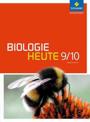 Biologie heute SI – Ausgabe 2013 für Gymnasien in Niedersachsen von Walory,  Michael, Westendorf-Bröring,  Elsbeth
