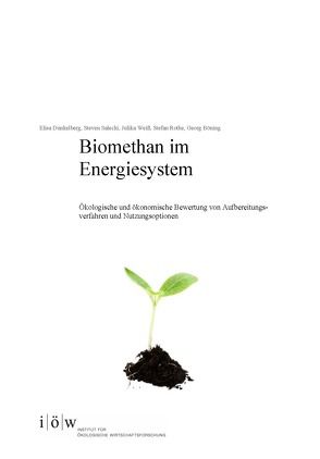 Biomethan im Energiesystem. von Böning,  Georg, Dunkelberg,  Elisa, Rothe,  Stefan, Salecki,  Steven, Weiß,  Julika