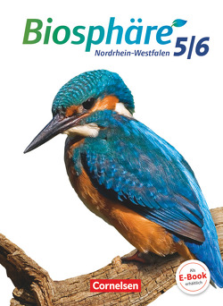 Biosphäre Sekundarstufe I – Gymnasium Nordrhein-Westfalen G8 – 5./6. Schuljahr von Brennecke,  Anke, Küster,  Hansjörg, Leienbach,  Karl-Wilhelm, Post,  Martin