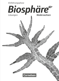 Biosphäre Sekundarstufe II – Niedersachsen – Einführungsphase von Agster,  Astrid, Auerbach,  Stefan, Becker,  Joachim, Bils,  Werner, Felch,  Robert, Gröne,  Christian, Janz,  Horst, Jütte,  Michael, Meisert,  Anke, Nixdorf,  Delia, Pohlmann,  Monika, Post,  Martin, Rupp,  Gabriele, Schiek,  Ulrike, Schrank,  Stephanie, Stoll,  Matthias, Szabados,  Michael, Wiechern,  Volker