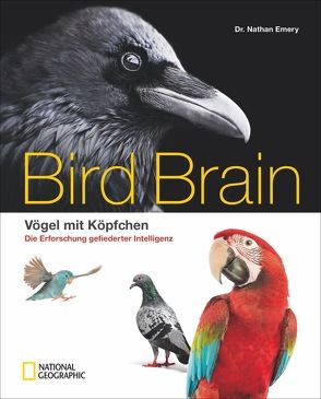 Bird Brain von Weidlich,  Karin