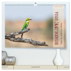 Birdlife – Vögel im südlichen Afrika (hochwertiger Premium Wandkalender 2024 DIN A2 quer), Kunstdruck in Hochglanz von Trüssel,  Silvia