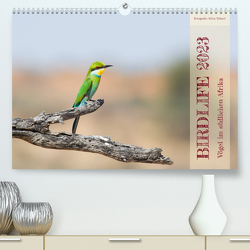 Birdlife – Vögel im südlichen Afrika (Premium, hochwertiger DIN A2 Wandkalender 2023, Kunstdruck in Hochglanz) von Trüssel,  Silvia