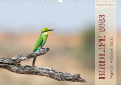 Birdlife – Vögel im südlichen Afrika (Wandkalender 2023 DIN A3 quer) von Trüssel,  Silvia