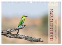 Birdlife – Vögel im südlichen Afrika (Wandkalender 2024 DIN A3 quer), CALVENDO Monatskalender von Trüssel,  Silvia