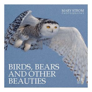 Birds, Bears and other Beauties von Kliem,  Klaus, Strom,  Mary