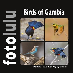 Birds of Gambia von fotolulu,  Sr.