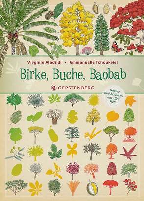 Birke, Buche, Baobab von Aladjidi,  Virginie, Tchoukriel,  Emmanuelle