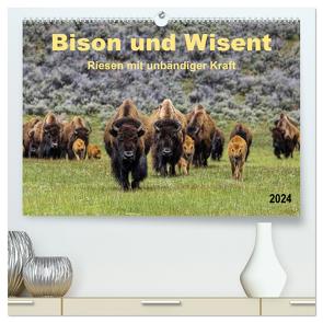 Bison und Wisent – Riesen mit unbändiger Kraft (hochwertiger Premium Wandkalender 2024 DIN A2 quer), Kunstdruck in Hochglanz von Roder,  Peter