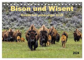 Bison und Wisent – Riesen mit unbändiger Kraft (Tischkalender 2024 DIN A5 quer), CALVENDO Monatskalender von Roder,  Peter