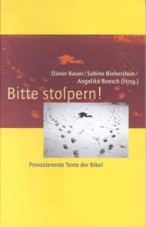 Bitte stolpern! von Bauer,  Dieter, Bieberstein,  Sabine, Boesch,  Angelika