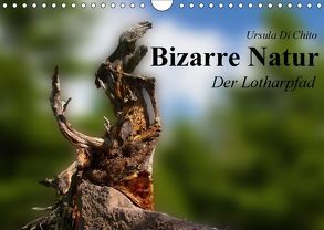 Bizarre Natur – Der Lotharpfad (Wandkalender 2018 DIN A4 quer) von Di Chito,  Ursula