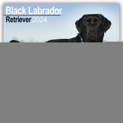 Black Labrador Retriever – Schwarzer Labrador 2024 – 16-Monatskalender