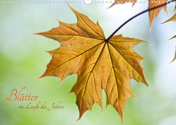 Blätter im Laufe des Jahres (Wandkalender 2022 DIN A3 quer) von Spona,  Helma