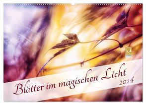 Blätter im magischen Licht (Wandkalender 2024 DIN A2 quer), CALVENDO Monatskalender von Koch,  Nicc