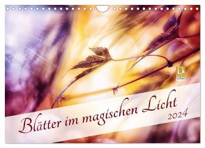 Blätter im magischen Licht (Wandkalender 2024 DIN A4 quer), CALVENDO Monatskalender von Koch,  Nicc
