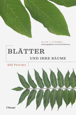 Blätter und ihre Bäume von Buchholtz,  Claudia, Coombes,  Allen J., Döring,  Ute, Wink,  Coralie