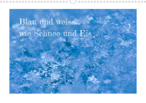 Blau und weiss… wie Schnee und Eis (Wandkalender 2023 DIN A3 quer) von Berger (Kabefa),  Karin
