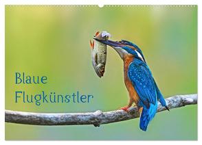 Blaue Flugkünstler (Wandkalender 2024 DIN A2 quer), CALVENDO Monatskalender von Oldani,  Dorothea