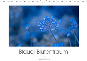 Blauer Blütentraum (Wandkalender 2019 DIN A4 quer) von Adam,  Ulrike