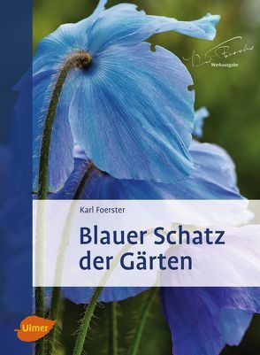 Blauer Schatz der Gärten von Foerster,  Karl, Kühn,  Norbert