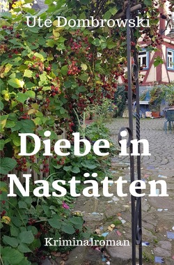 Blaues-Ländchen-Krimi / Diebe in Nastätten von Dombrowski,  Ute