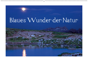 Blaues Wunder der Natur (Wandkalender 2020 DIN A2 quer) von Kramer,  Christa