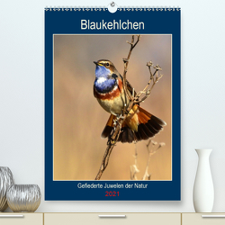 Blaukehlchen. Gefiederte Juwelen der Natur. (Premium, hochwertiger DIN A2 Wandkalender 2021, Kunstdruck in Hochglanz) von Schaack,  René