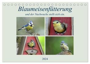 Blaumeisenfütterung, und der Nachwuchs stellt sich ein. (Tischkalender 2024 DIN A5 quer), CALVENDO Monatskalender von Rufotos,  Rufotos