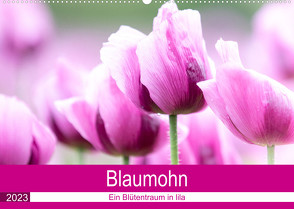 Blaumohn – Ein Blütentraum in lila (Wandkalender 2023 DIN A2 quer) von Verena Scholze,  Fotodesign