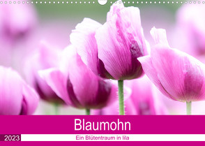 Blaumohn – Ein Blütentraum in lila (Wandkalender 2023 DIN A3 quer) von Verena Scholze,  Fotodesign