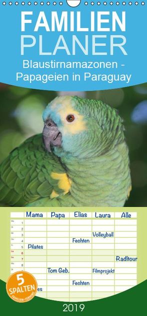 Blaustirnamazonen – Papageien in Paraguay – Familienplaner hoch (Wandkalender 2019 , 21 cm x 45 cm, hoch) von Schneider,  Bettina