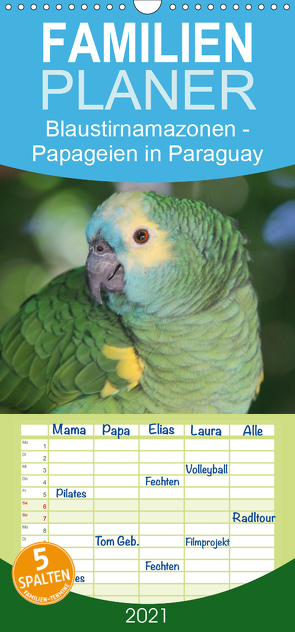 Blaustirnamazonen – Papageien in Paraguay – Familienplaner hoch (Wandkalender 2021 , 21 cm x 45 cm, hoch) von Schneider,  Bettina