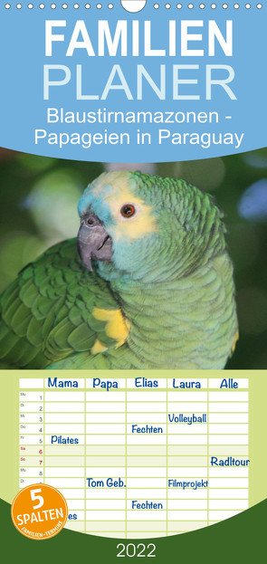Familienplaner Blaustirnamazonen – Papageien in Paraguay (Wandkalender 2022 , 21 cm x 45 cm, hoch) von Schneider,  Bettina
