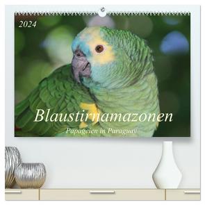 Blaustirnamazonen – Papageien in Paraguay (hochwertiger Premium Wandkalender 2024 DIN A2 quer), Kunstdruck in Hochglanz von Schneider,  Bettina
