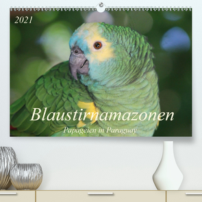 Blaustirnamazonen – Papageien in Paraguay (Premium, hochwertiger DIN A2 Wandkalender 2021, Kunstdruck in Hochglanz) von Schneider,  Bettina