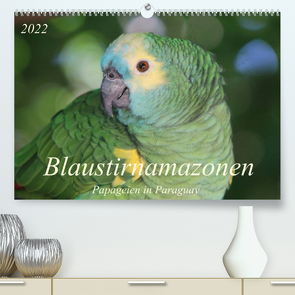 Blaustirnamazonen – Papageien in Paraguay (Premium, hochwertiger DIN A2 Wandkalender 2022, Kunstdruck in Hochglanz) von Schneider,  Bettina