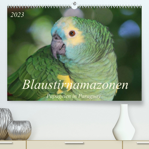 Blaustirnamazonen – Papageien in Paraguay (Premium, hochwertiger DIN A2 Wandkalender 2023, Kunstdruck in Hochglanz) von Schneider,  Bettina