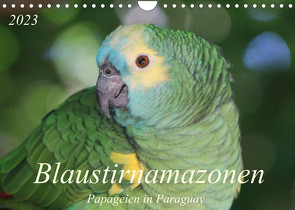 Blaustirnamazonen – Papageien in Paraguay (Wandkalender 2023 DIN A4 quer) von Schneider,  Bettina