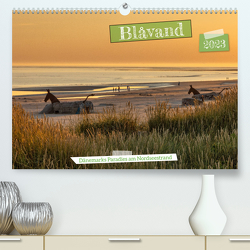 Blåvand – Dänemarks Paradies am Nordseestrand (Premium, hochwertiger DIN A2 Wandkalender 2023, Kunstdruck in Hochglanz) von AkremaFotoArt