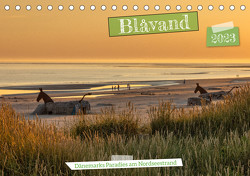 Blåvand – Dänemarks Paradies am Nordseestrand (Tischkalender 2023 DIN A5 quer) von AkremaFotoArt