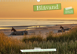 Blåvand – Dänemarks Paradies am Nordseestrand (Wandkalender 2023 DIN A3 quer) von AkremaFotoArt