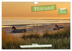 Blåvand – Dänemarks Paradies am Nordseestrand (Wandkalender 2024 DIN A4 quer), CALVENDO Monatskalender von AkremaFotoArt,  AkremaFotoArt