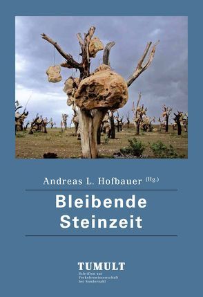 Bleibende Steinzeit von Hofbauer,  Andreas