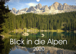 Blick in die Alpen (Wandkalender 2020 DIN A3 quer) von Andreas Lederle,  Kevin