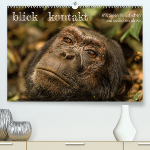 blick kontakt mit tieren im östlichen und südlichen afrika (Premium, hochwertiger DIN A2 Wandkalender 2024, Kunstdruck in Hochglanz) von rsiemer