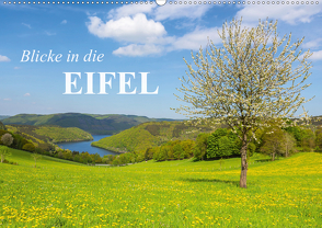 Blicke in die Eifel (Wandkalender 2021 DIN A2 quer) von rclassen