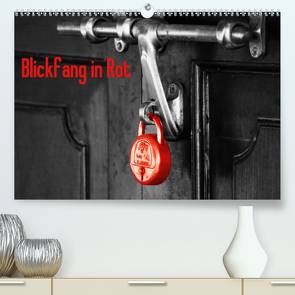 Blickfang in Rot (Premium, hochwertiger DIN A2 Wandkalender 2021, Kunstdruck in Hochglanz) von Kimmig,  Angelika