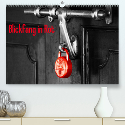 Blickfang in Rot (Premium, hochwertiger DIN A2 Wandkalender 2023, Kunstdruck in Hochglanz) von Kimmig,  Angelika