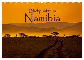 Blickpunkte in Namibia (Wandkalender 2024 DIN A2 quer), CALVENDO Monatskalender von Schütter,  Stefan